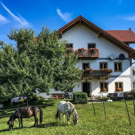 Peterhof Farm - Berghutt Apartment Breitenberg (Lower Bavaria)