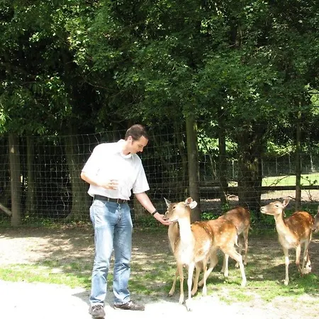 Peterhof Farm - Berghutt